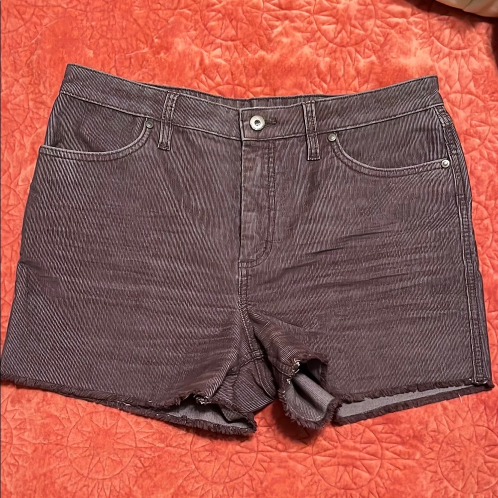 Carve designs high waisted Oahu shorts